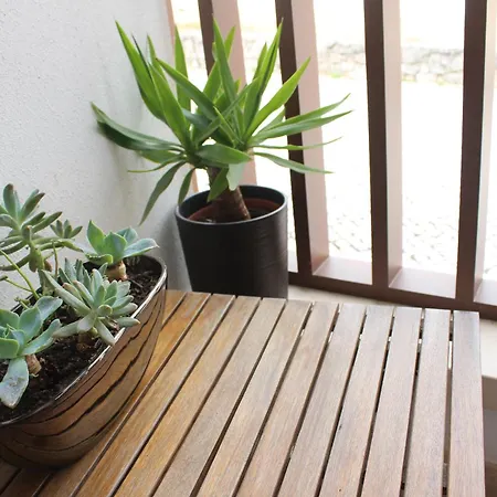 Rito Hall Da Serra Guest house Leiria