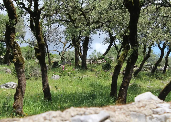 Penzion Rito Hall Da Serra Leiria