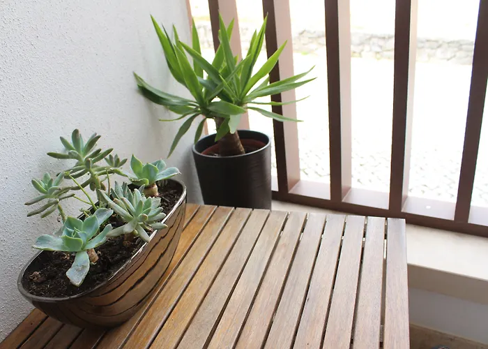 게스트하우스 Rito Hall Da Serra