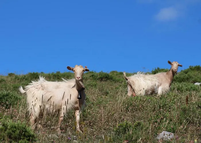 Rito Hall Da Serra 4*